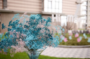 Як відчути дух Hi, Mom!? Не шукайте відповіді в Інтернеті. Просто дивіться це відео. А ще краще – приходьте у гості!